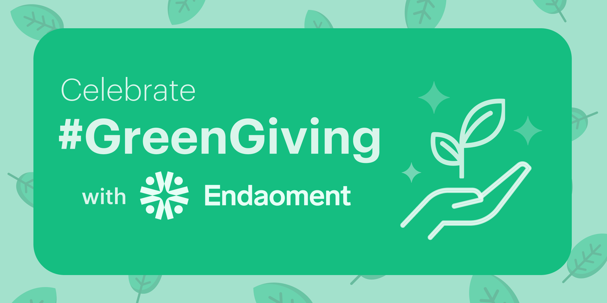 Celebrating Green Giving: 22 Orgs Deployed in 22 Days