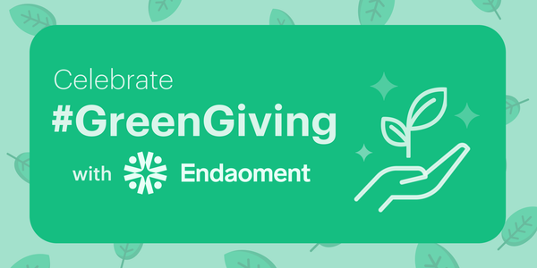 Celebrating Green Giving: 22 Orgs Deployed in 22 Days